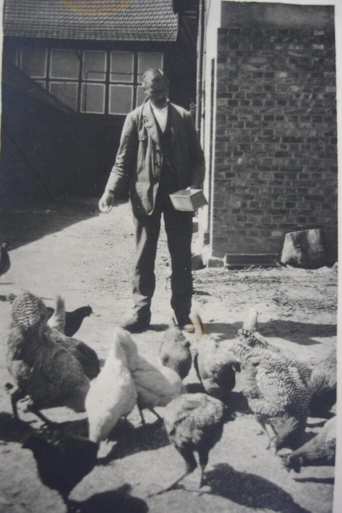 Otto B. Niemeyer bei der Fütterung der Hühne