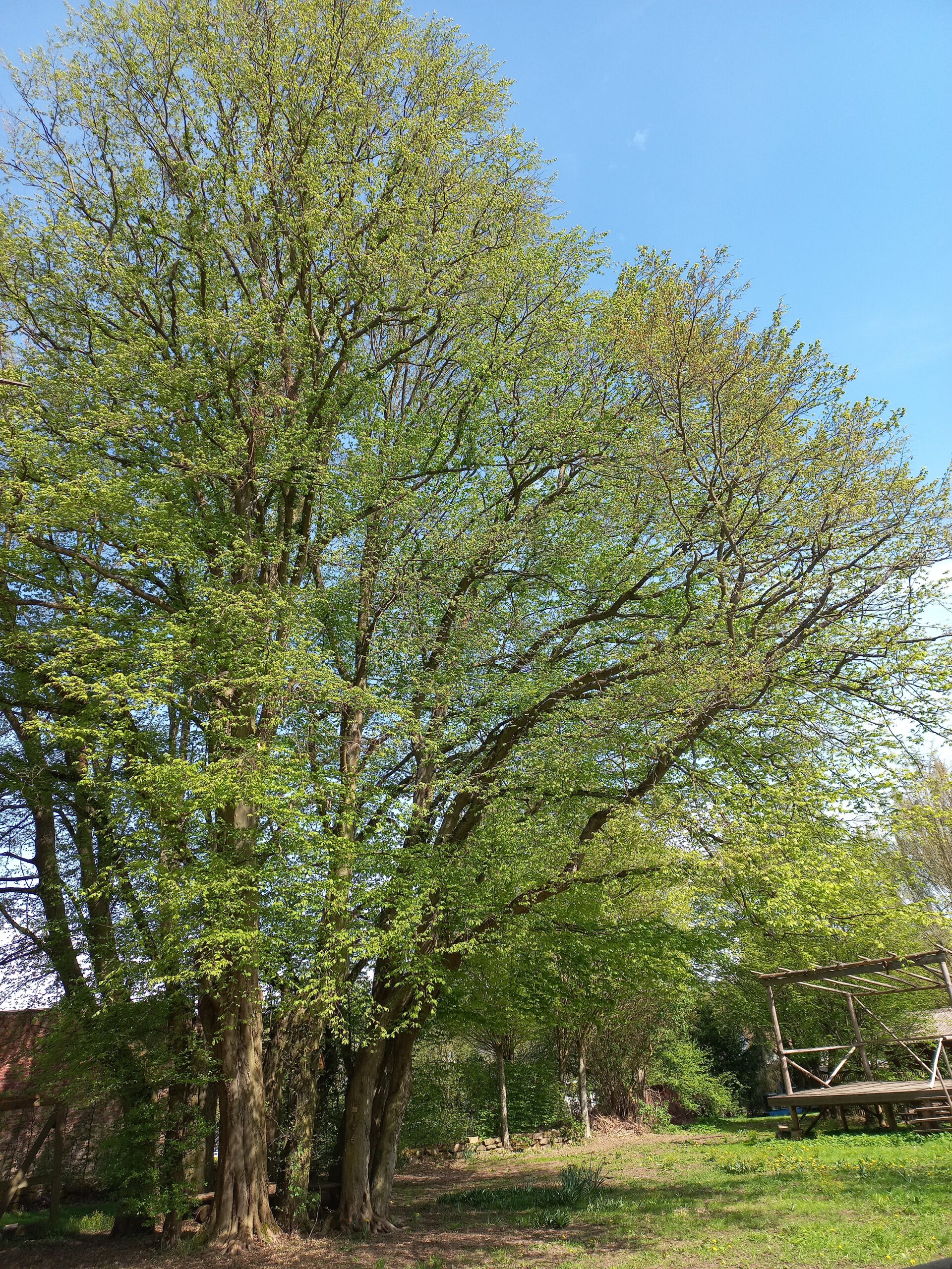 HNA Rotenburg/Bebra 08.05.24 – Gottesdienst und Biergarten